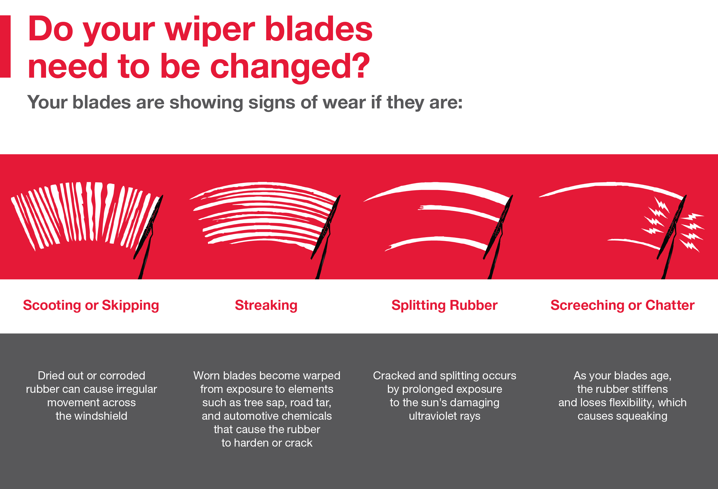 Do your wiper blades need to be changed | ToyotaDG Demo - COSMOS in Derwood MD